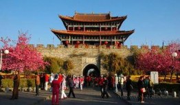 浙江网红爆料大理事件视频,揭秘背后真相