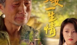 小姐完整版在线观看,一场跨越身份与欲望的华丽冒险