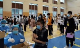 戈雅最新爆料消息视频,独家内幕大公开